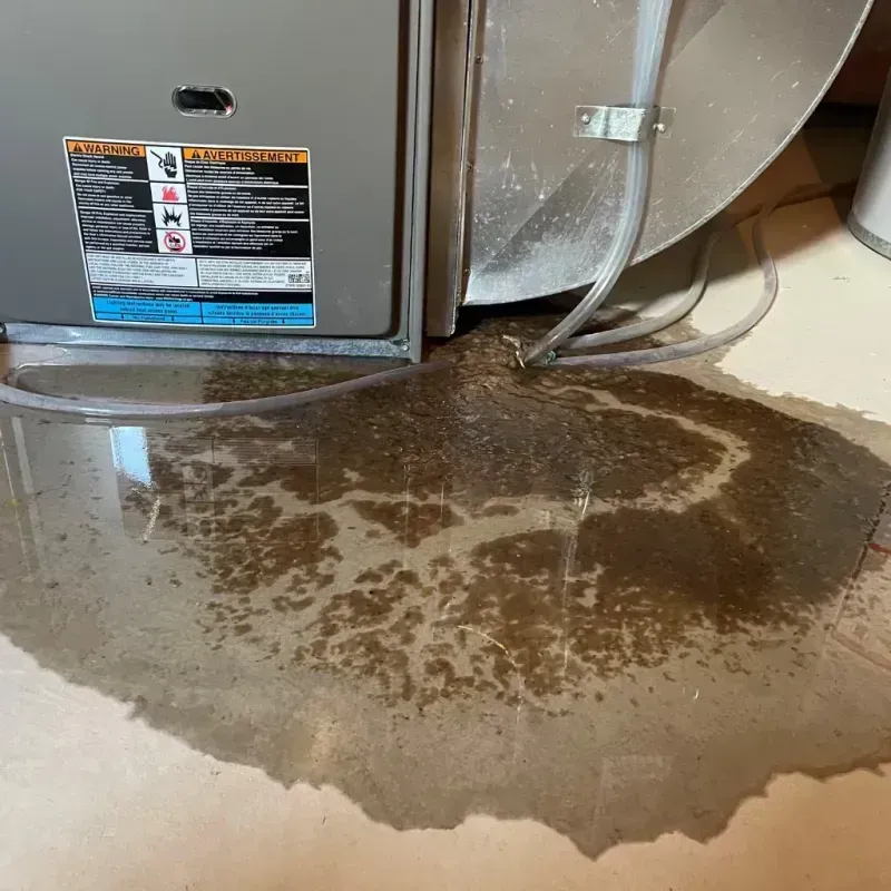 Appliance Leak Cleanup in Treasure County, MT